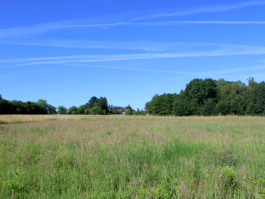 Działka rolno-leśna Sieraków