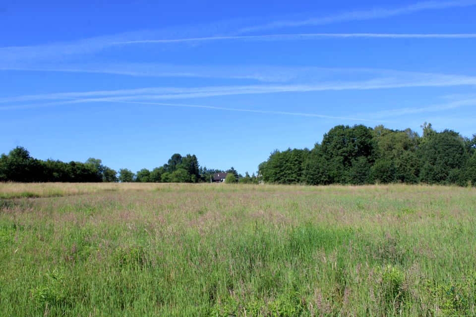 Działka rolno-leśna Sieraków