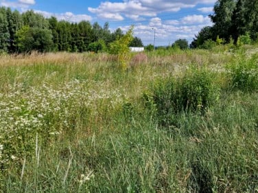 Działka budowlana Dąbie sprzedam