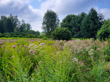 Działka nad jeziorem