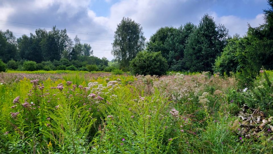 Działka nad jeziorem