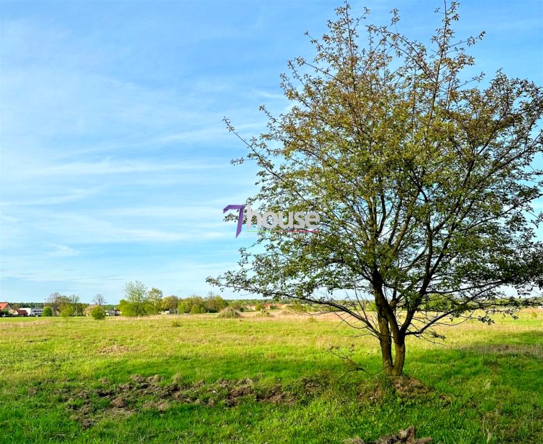 Działka Świniowice