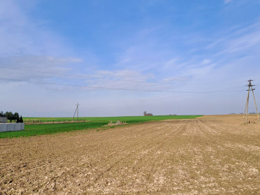 Działka inna Strzelniki sprzedam