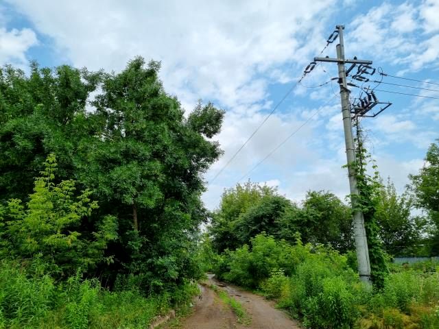 Zdjęcie 3