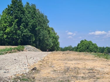 Działka usługowa Ornontowice sprzedam