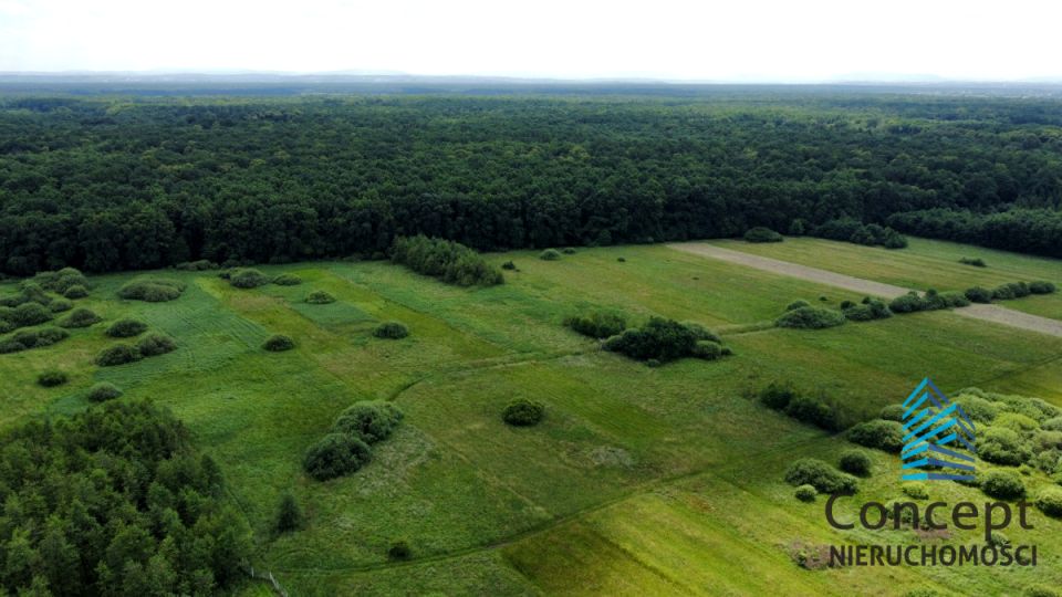 Działka rolna Ispina