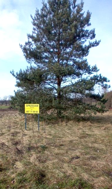 Pusta działka Sierakowice