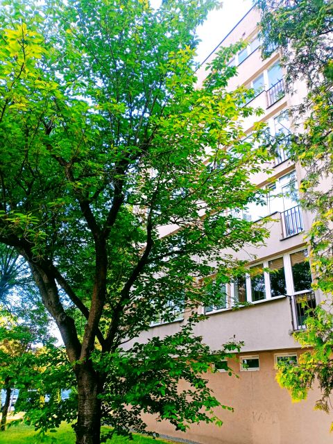 Mieszkanie Bielsko-Biała