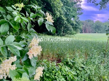 Działka Rzeck