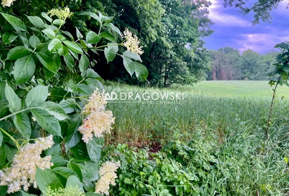 Działka Rzeck