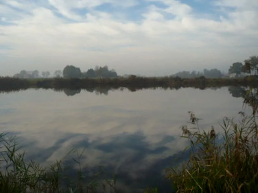 Działka budowlana Wołowice