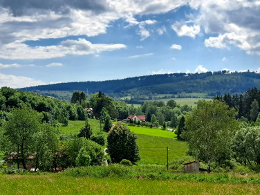 Działka Bartnica