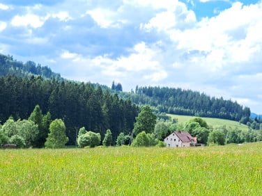 Działka Bartnica