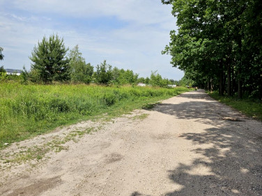 Działka budowlana Kierszek sprzedam