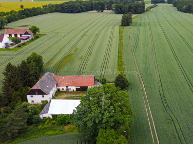 Działka siedliskowa Nowa Wieś Złotoryjska sprzedam