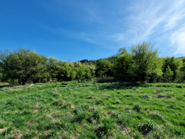 Działka budowlana Trzebieszowice