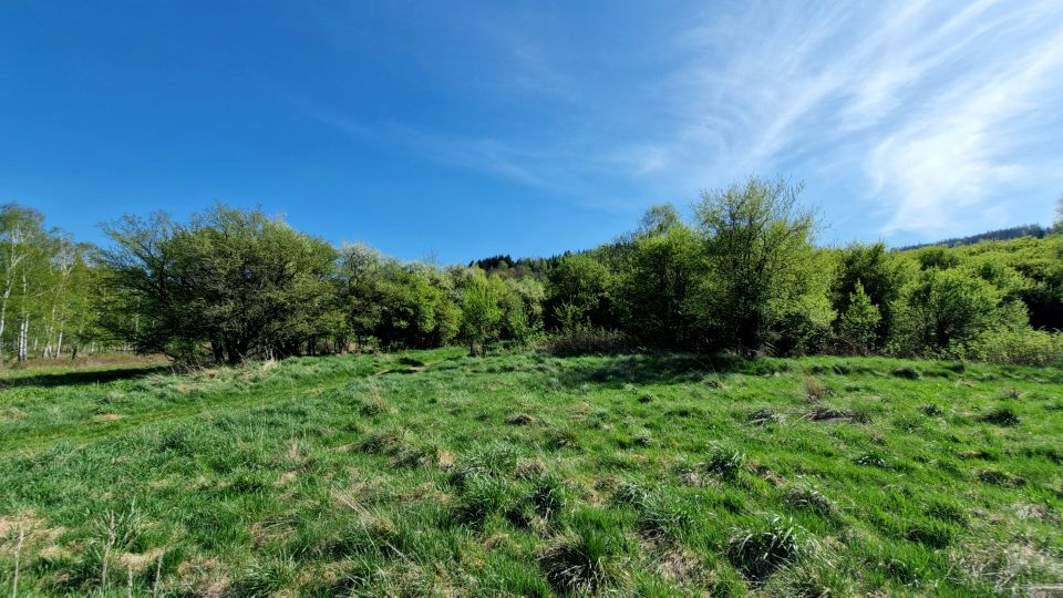 Działka budowlana Trzebieszowice