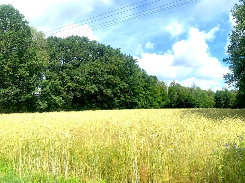 Działka rolna Milejów sprzedam