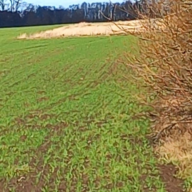 Zdjęcie 2
