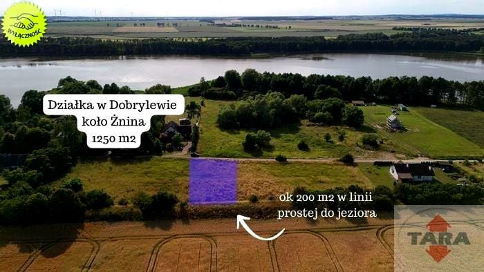 Działka budowlana Dobrylewo