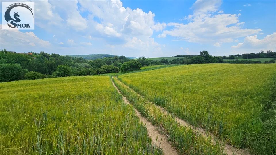 Działka rolna Krasieniec Zakupny