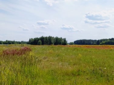 Działka budowlana Zakroczym