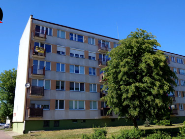 Mieszkanie, ul. Włocławska
