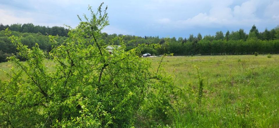 Działka budowlana Rokitno Szlacheckie