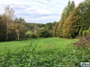 Działka budowlano-rolna Lusina sprzedam