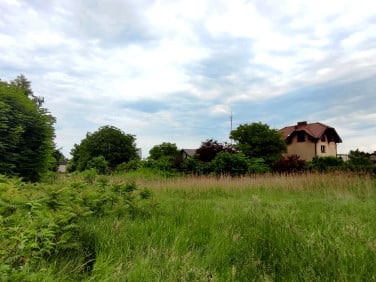 Działka budowlana Rydułtowy