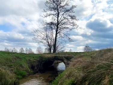 Działka budowlano-rolna Wielka Nieszawka