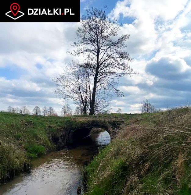 Działka budowlano-rolna Wielka Nieszawka