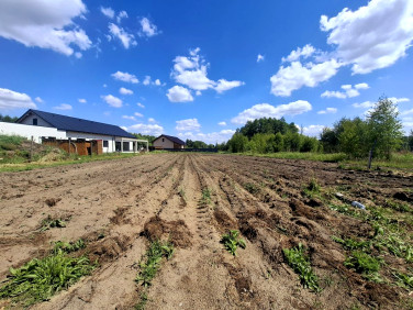 Działka Glinno