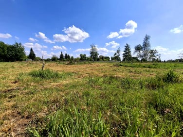 Działka Glinno
