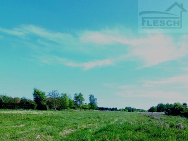 Działka Rusiec