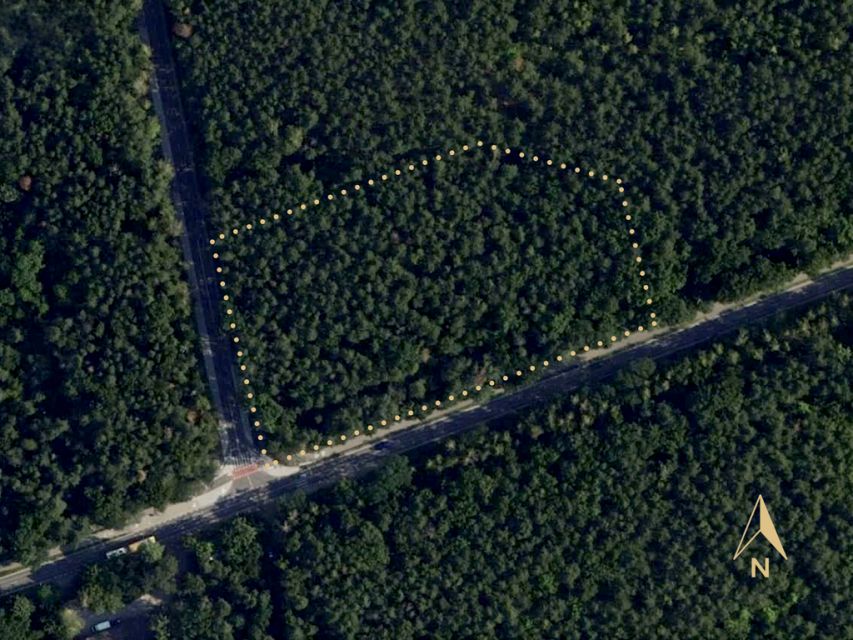 Działka leśna Warszawa