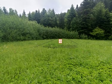 Działka budowlana Huta Brzuska