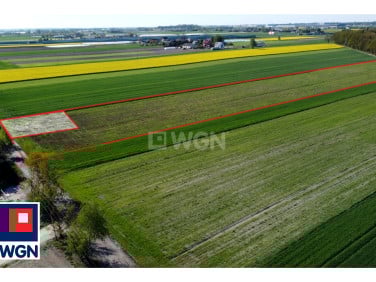 Działka budowlana Piotrków Trybunalski