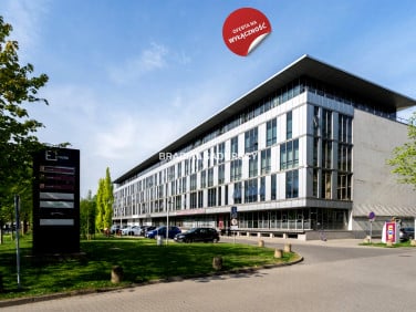 Lokal Kraków