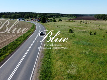 Działka CHOJNA
