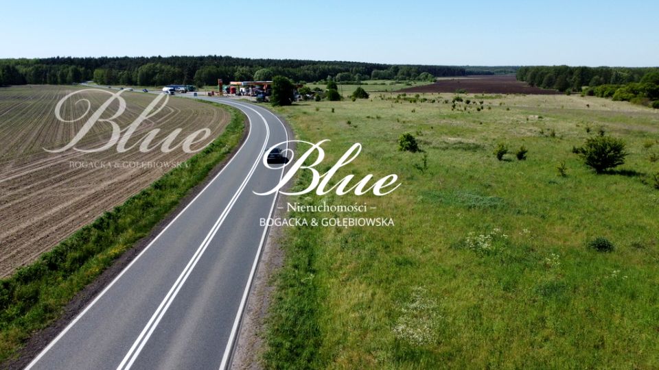Działka CHOJNA