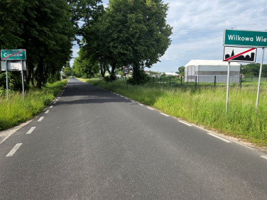 Działka rolna Czarnów