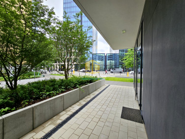 Lokal Warszawa