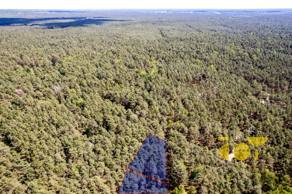 Działka budowlana Wilga sprzedam