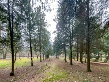 Działka budowlana Grodzisk Mazowiecki sprzedam