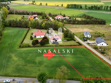 Działka przy lesie