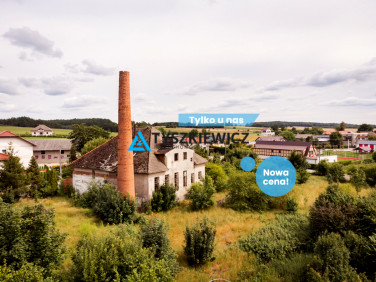 Lokal Rozłazino