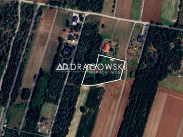 Działka siedliskowa Pasikonie