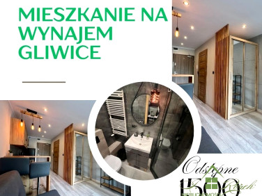 Mieszkanie Gliwice wynajem