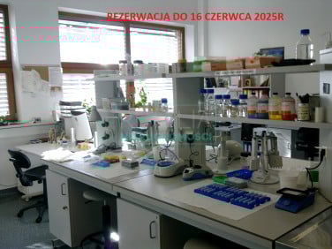 Lokal Grodzisk Mazowiecki